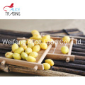 Healthy Chinese Snack vacuum Fried Gingko